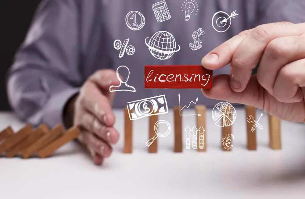 LICENSE SERVICES of M R Badgujar & Co 