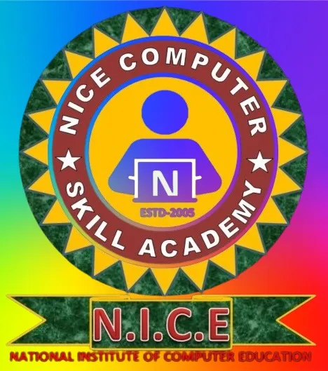 Nice Skill Academy logo