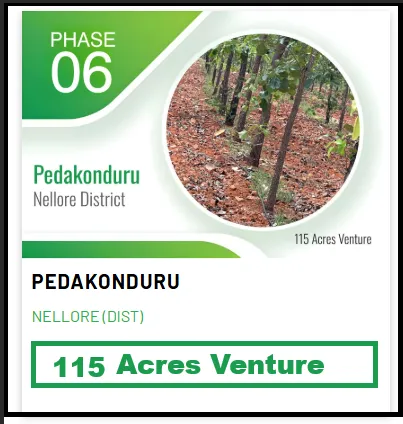 Slide 6