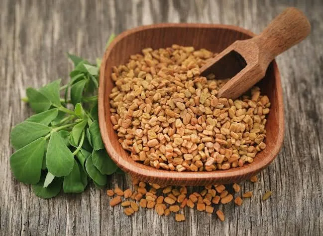 Fenugreek botanical ingredient
