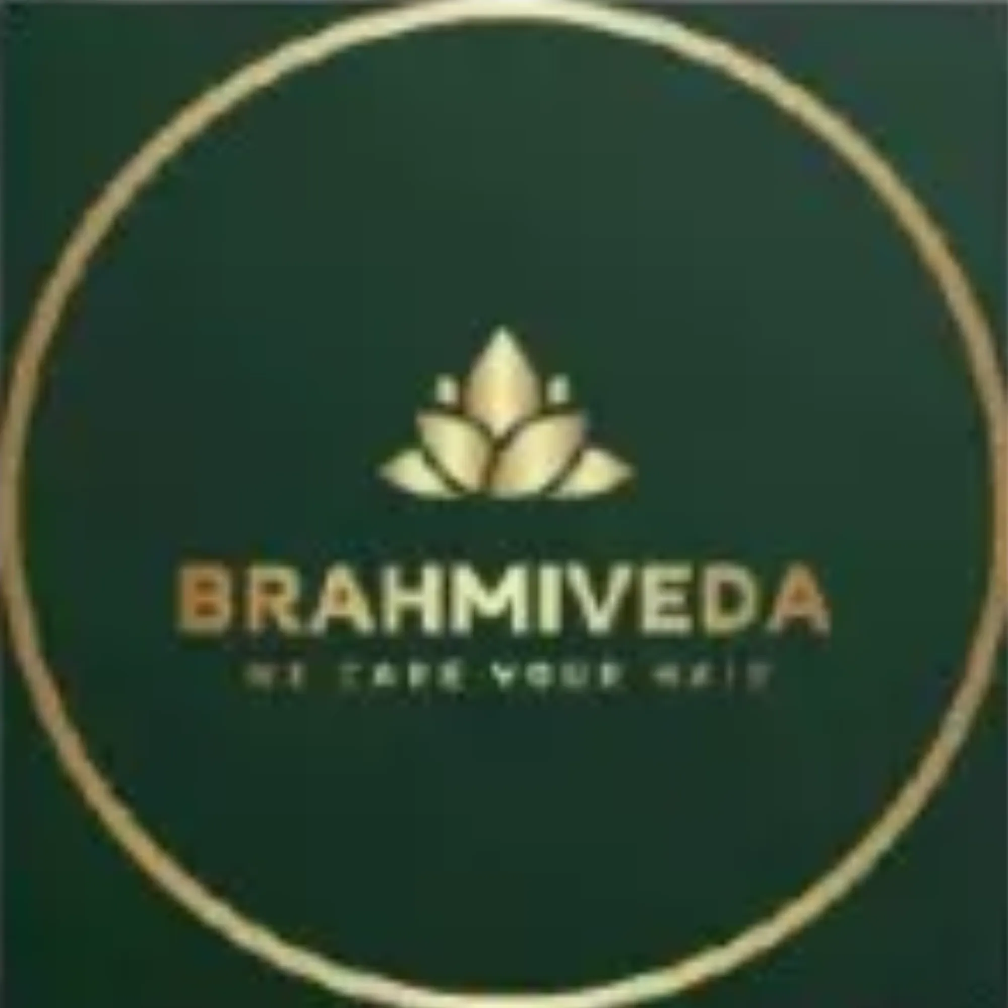 Brand 6 logo